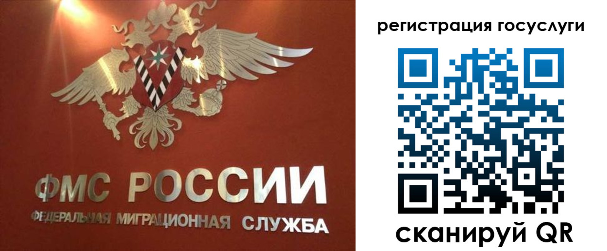 прописка ребенка в Калужской области